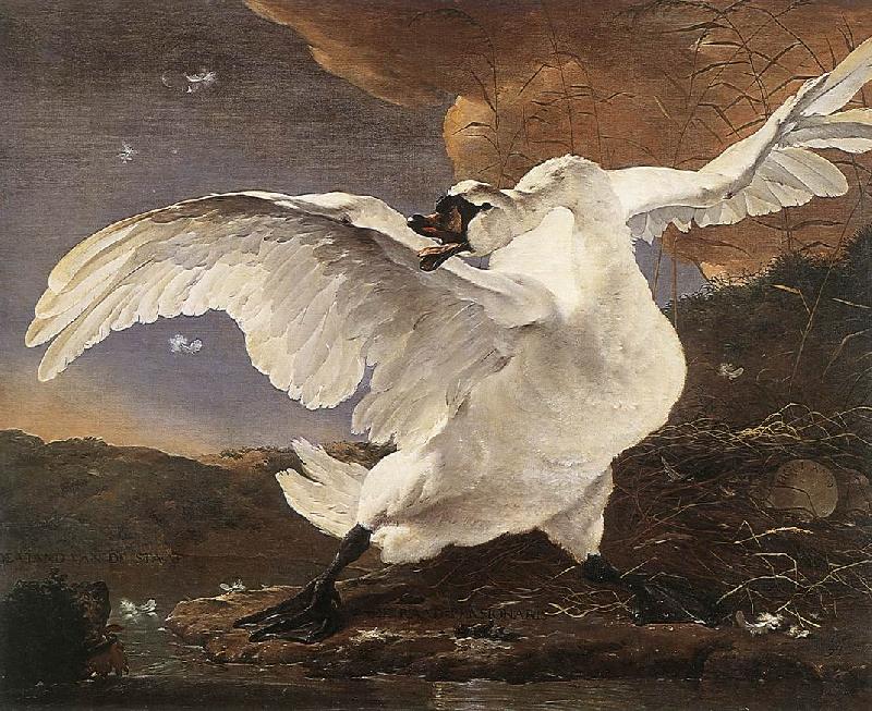 ASSELYN, Jan The Threatened Swan Sweden oil painting art